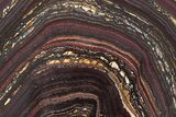 Polished Tiger Iron Stromatolite Slab - Billion Years #222056-1